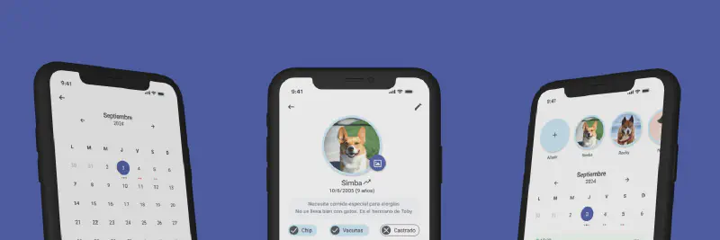 Featured image of post Hackapet – Open Source Software for Animal Shelters & Adoptions